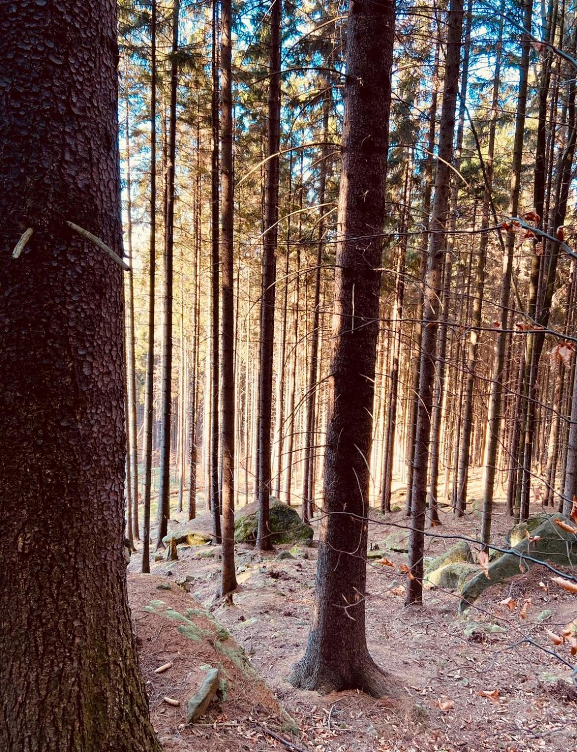 Stodola Na Widoku Vila Radkow Exterior foto